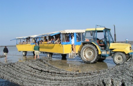 dol-et-train-marin__